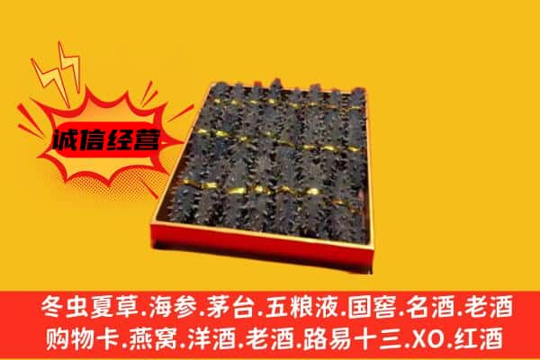 防城港市港口回收海参